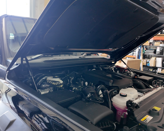 Bonnet Struts to suit Landcruiser 250 Series Prado