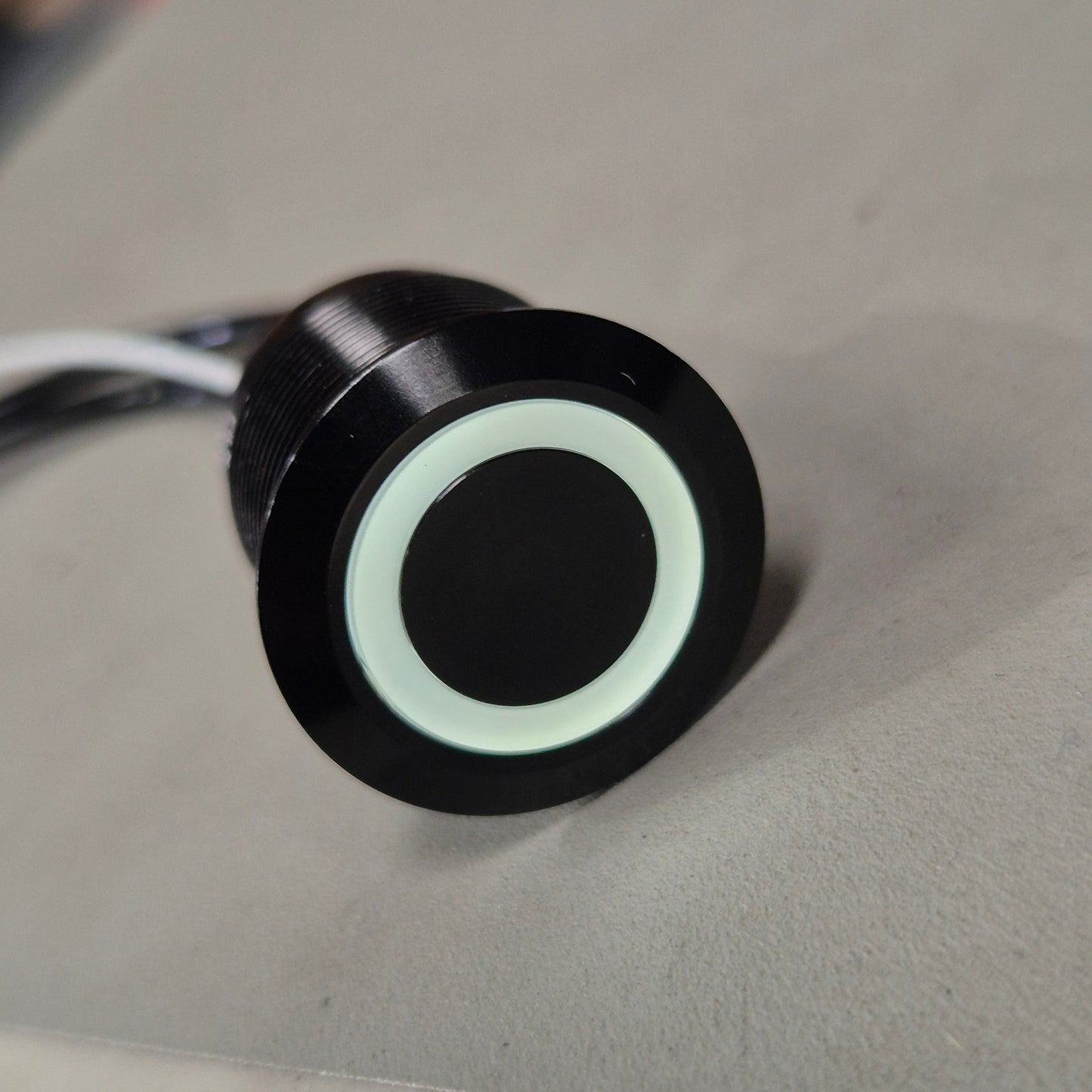 EC Offroad – 19mm Waterproof Illuminated Push Button Switch (20A)