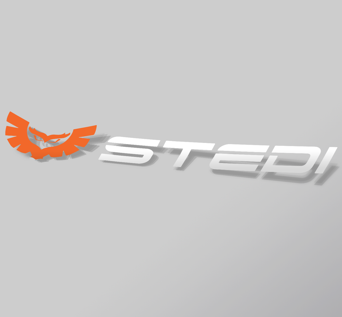 STEDI Sticker